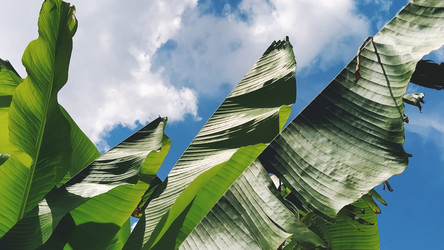 Similar image 21627141