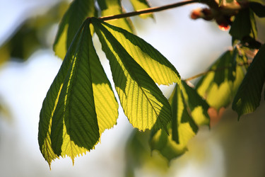 Similar image 21560773