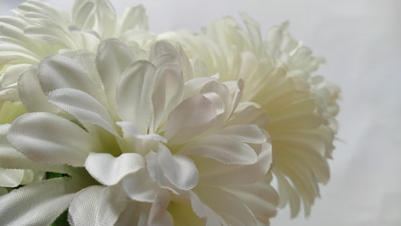 Similar image 21629180