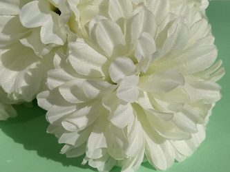 Similar image 21629181