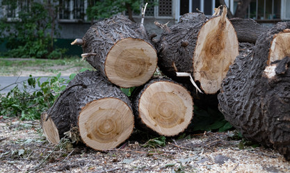 Similar image 21555393