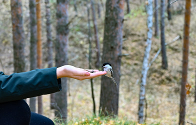 Similar image 21555394