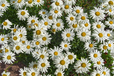 Similar image 21555231