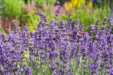 Similar image 21555234