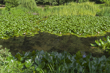 Similar image 21555235