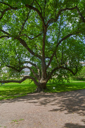 Similar image 21555236