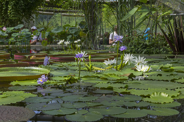 Similar image 21555396