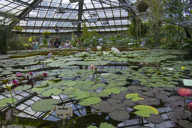 Similar image 21555398