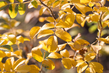 Similar image 21555714