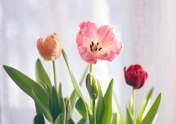 Similar image 21555718