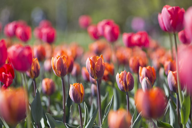 Similar image 21555720