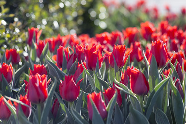 Similar image 21555721