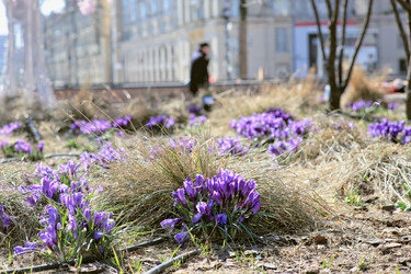 Similar image 21555722