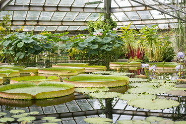 Similar image 21555723