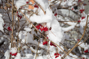 Similar image 21555725