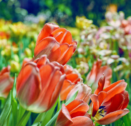 Similar image 21555729