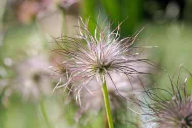 Similar image 21555731