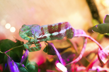 Similar image 21555735