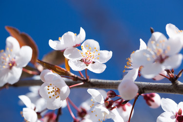 Similar image 21555736