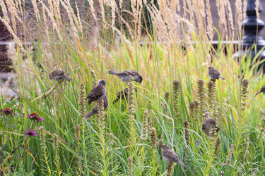 Similar image 21555738