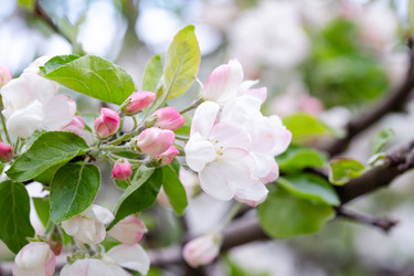 Similar image 21555743