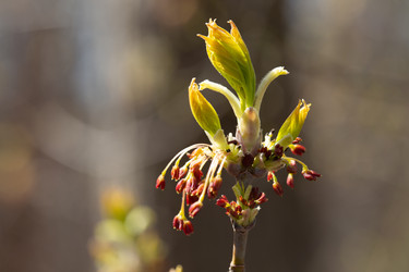 Similar image 21555745