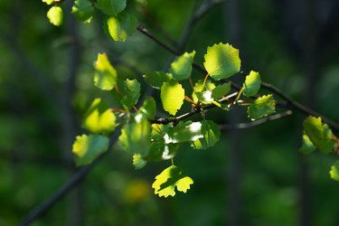 Similar image 21555746