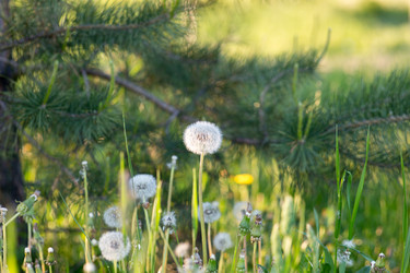 Similar image 21555748