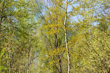 Similar image 21555750