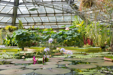 Similar image 21555751