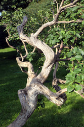 Similar image 21555755