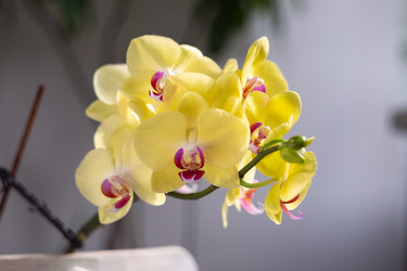 Similar image 21555758