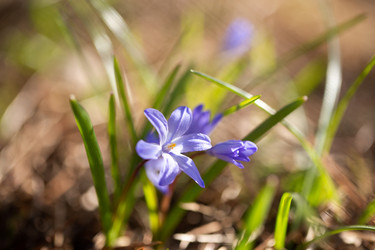 Similar image 21555760