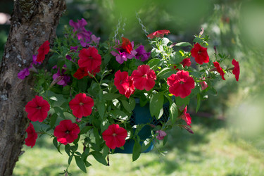 Similar image 21555910