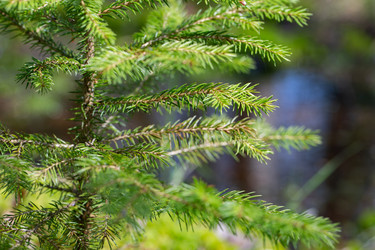 Similar image 21555911