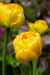 Similar image 21555912