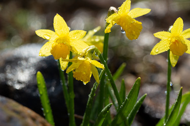 Similar image 21555916