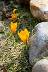 Similar image 21555924