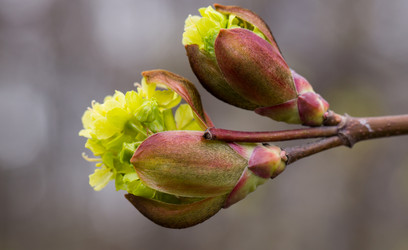 Similar image 21555926