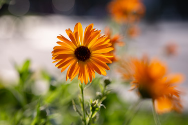 Similar image 21555927