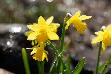 Similar image 21555928