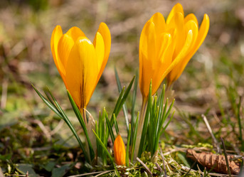 Similar image 21555929