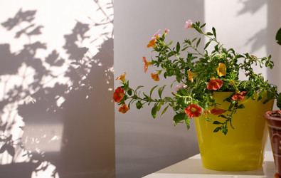 Similar image 21555936