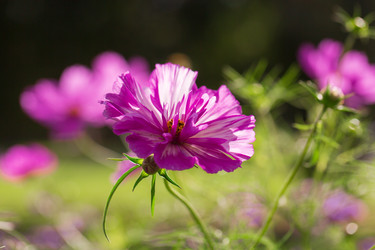 Similar image 21555937