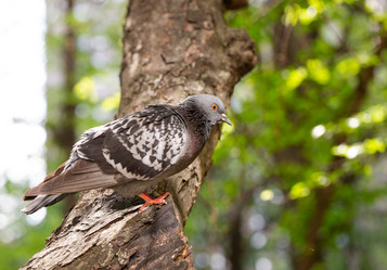 Similar image 21555938