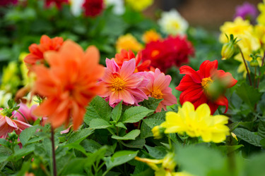 Similar image 21555939