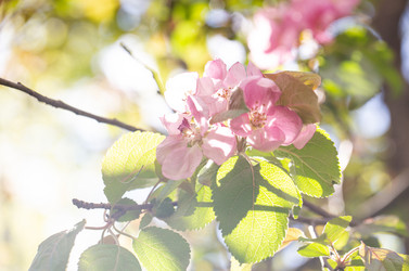 Similar image 21555940