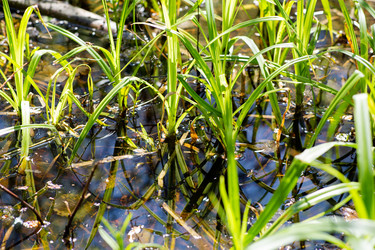 Similar image 21555942