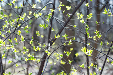 Similar image 21555943