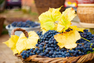 Similar image 21555944